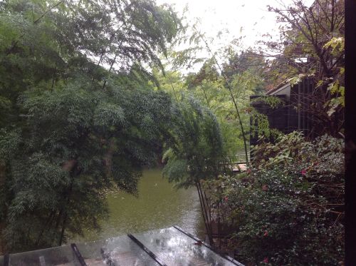 箱根酒店窗外風景1