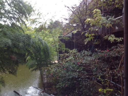 箱根酒店窗外風景3