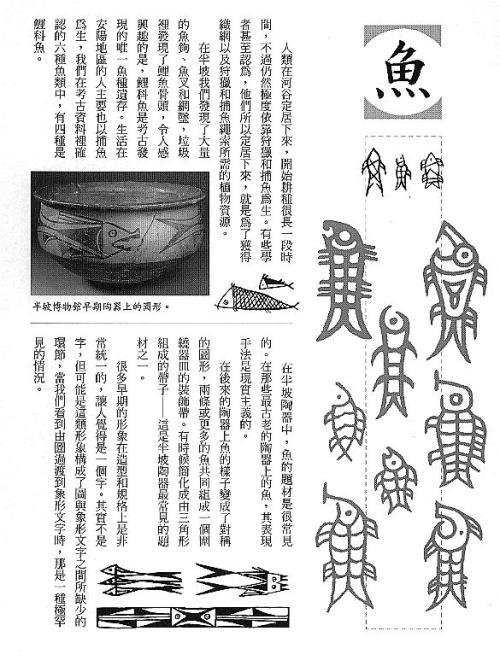 漢字的故事：＜野生動物 ( 3-1 )＞