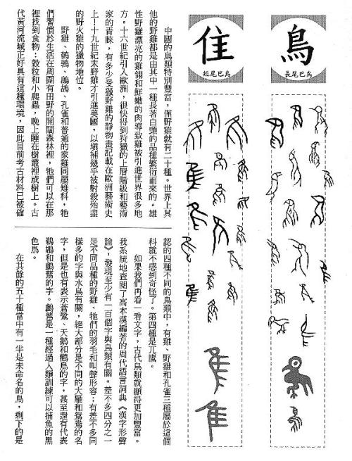 漢字的故事：＜野生動物 ( 3-17 )＞