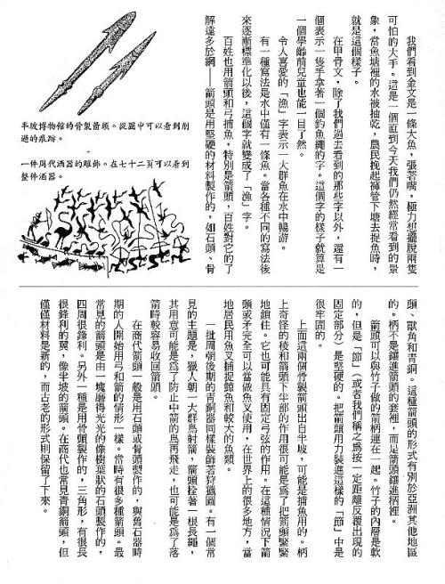 漢字的故事：＜野生動物 ( 3-6 )＞