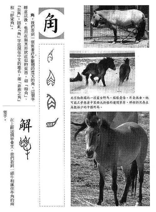 漢字的故事：＜家畜 ( 4-12 )＞