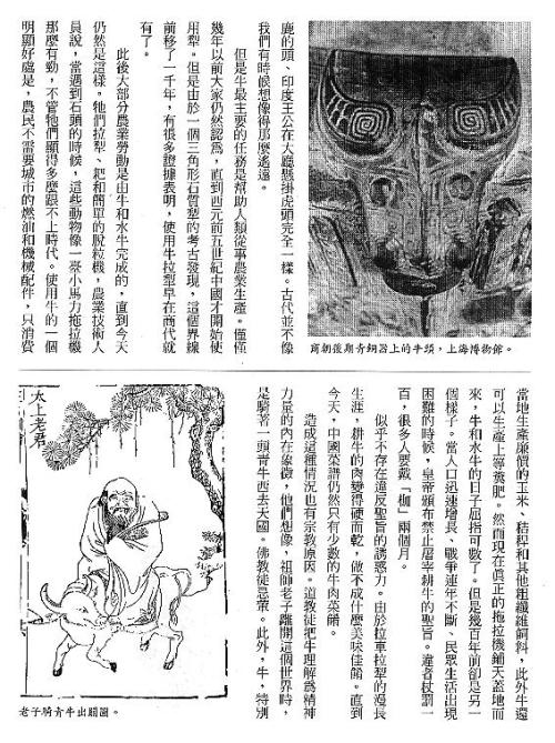 漢字的故事：＜家畜 ( 4-9 )＞