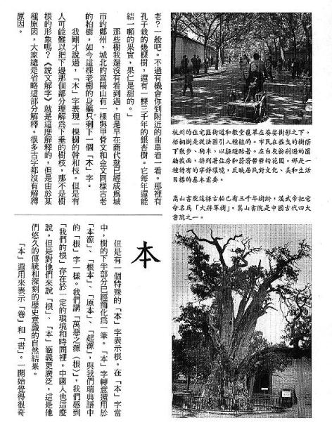 漢字的故事：＜竹與樹 ( 9-6 )＞