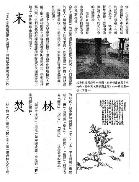 漢字的故事：＜竹與樹 ( 9-7 )＞