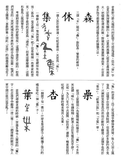 漢字的故事：＜竹與樹 ( 9-8 )＞